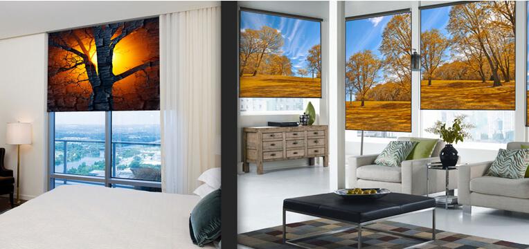 Decorative window shades featuring YOUR favorite images