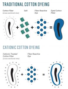 cotton dye cationic