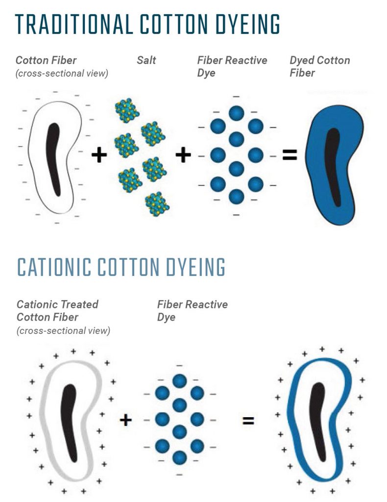 cotton-dye-process-regular-vs-cationic-soboconcepts